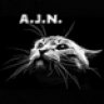 A.J.N.