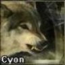 Cyon