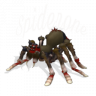 spiderone
