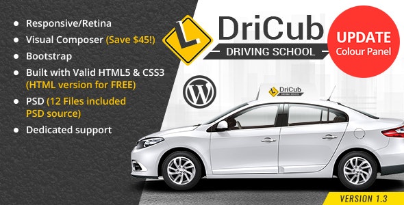dricub-driving-school_590.__large_preview.jpg